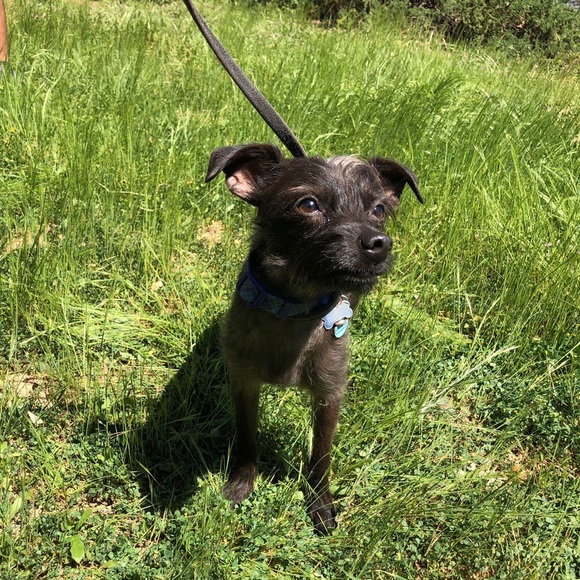 Meet your Posher, Desiree - Picture 1 of 1